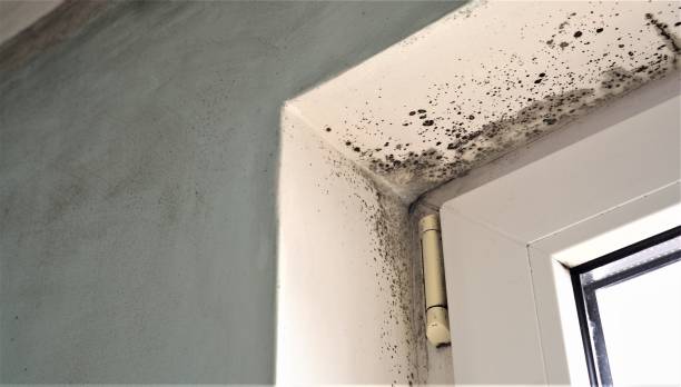 Best HVAC Mold Inspection and Cleaning  in Mount Hermon, CA