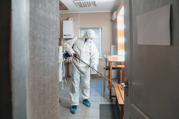 Best Mold Removal for HVAC Installations  in Mount Hermon, CA