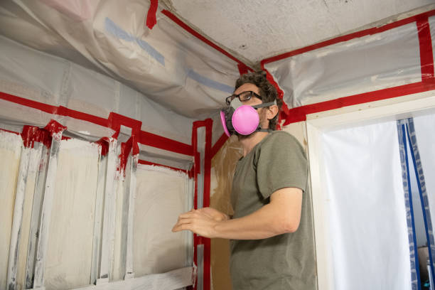 Best Emergency Mold Remediation  in Mount Hermon, CA