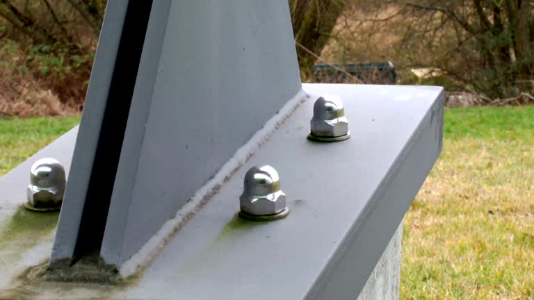 Trusted Mount Hermon, CA Mold Removal Experts
